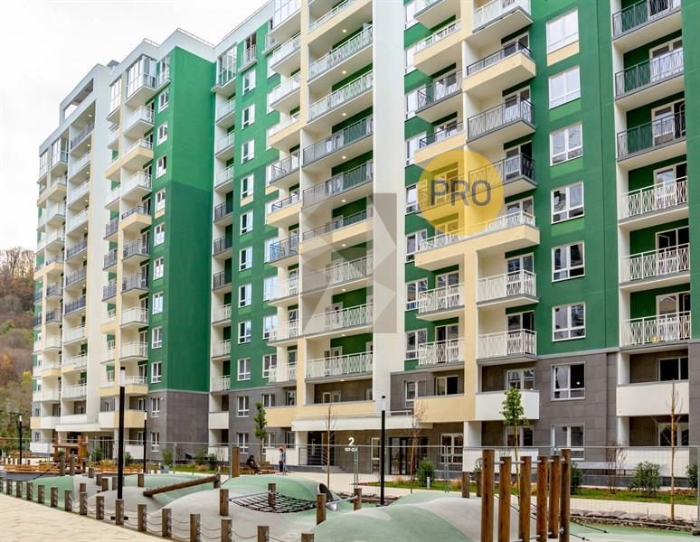 Флора