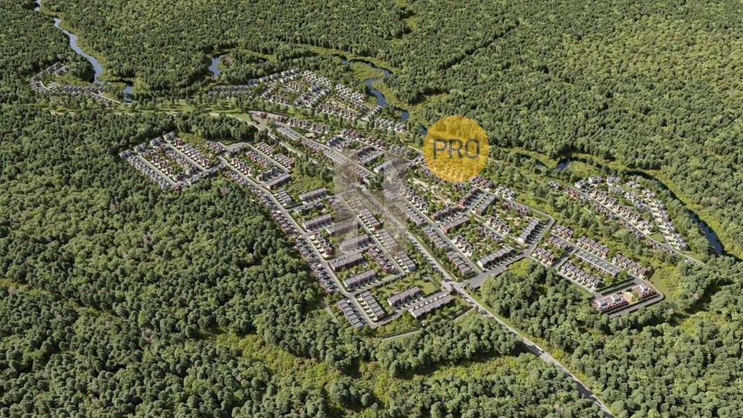 Моменты Репино - фото 2
