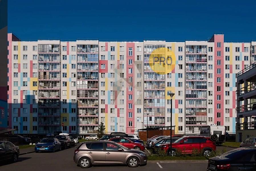 Южная звезда - фото 4